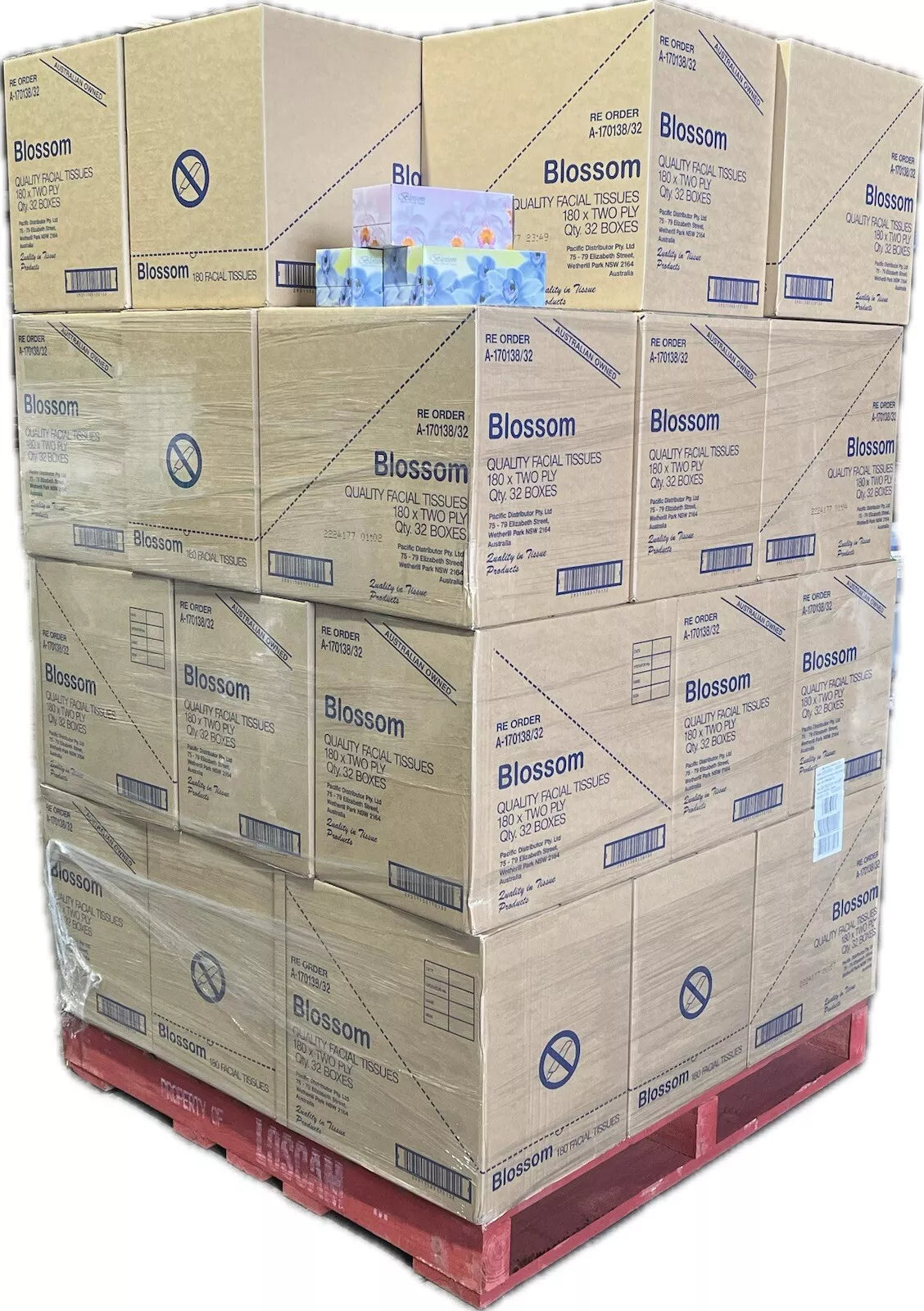Blossom Quality Facial Tissue White 180X2Ply 32/CTN